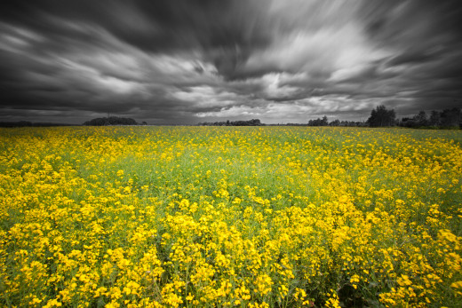 595992 (a): :1920x1280